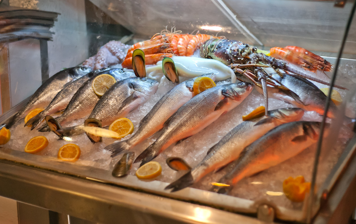 Vitrines réfrigérées à poisson professionnelles à Casablanca